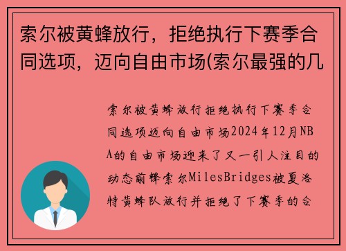 索尔被黄蜂放行，拒绝执行下赛季合同选项，迈向自由市场(索尔最强的几个状态)