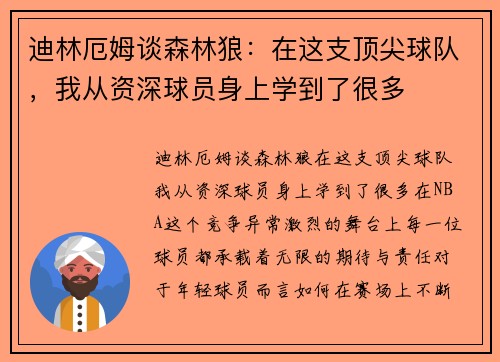 迪林厄姆谈森林狼：在这支顶尖球队，我从资深球员身上学到了很多