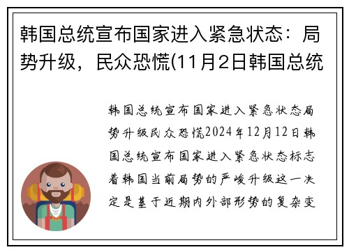 韩国总统宣布国家进入紧急状态：局势升级，民众恐慌(11月2日韩国总统入狱)